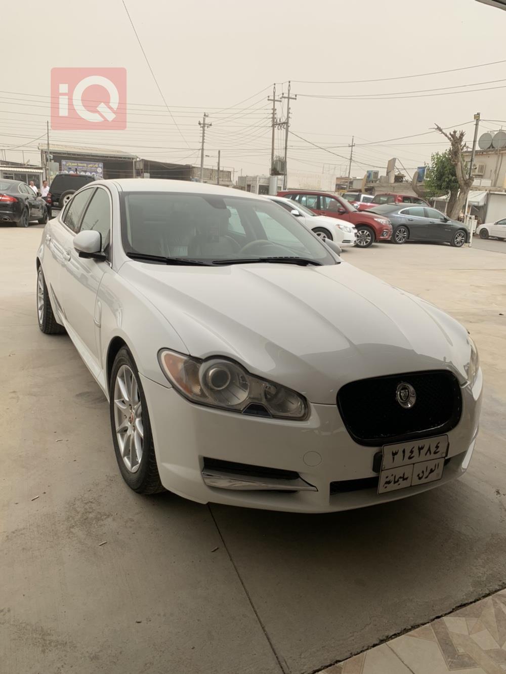 جاگوار XF